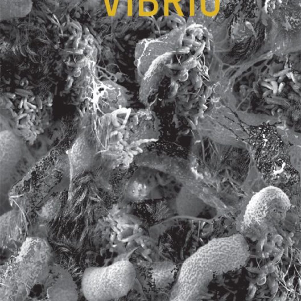Glenn Christian VIBRIO