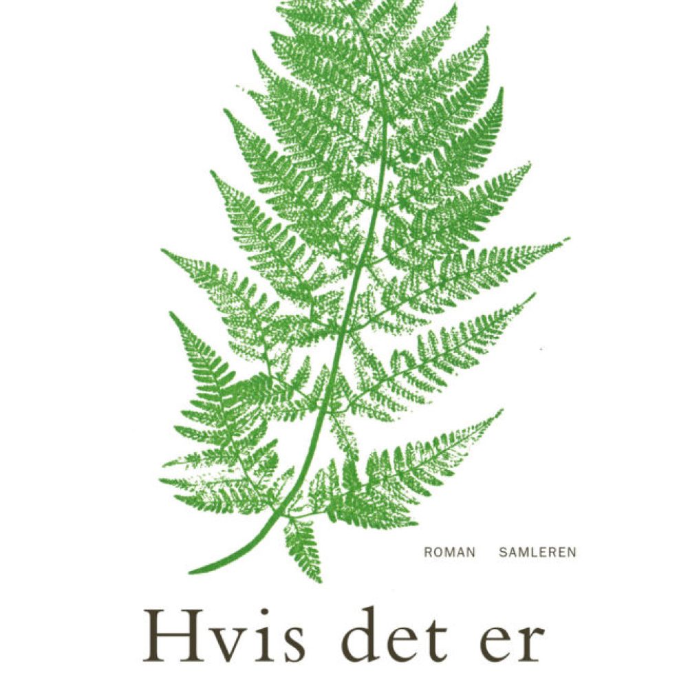 1 Helle_Hvis_det_er_300dpi