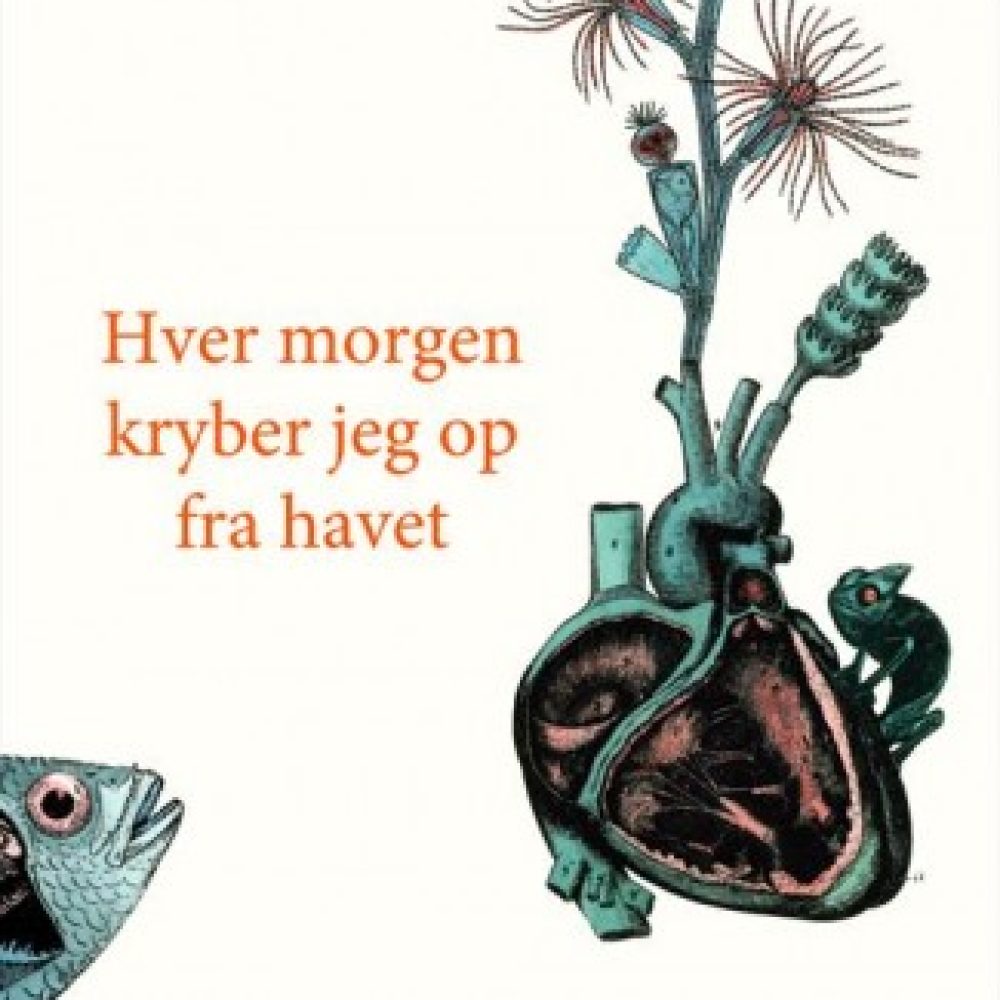 Frøydis Sollid Simonsen