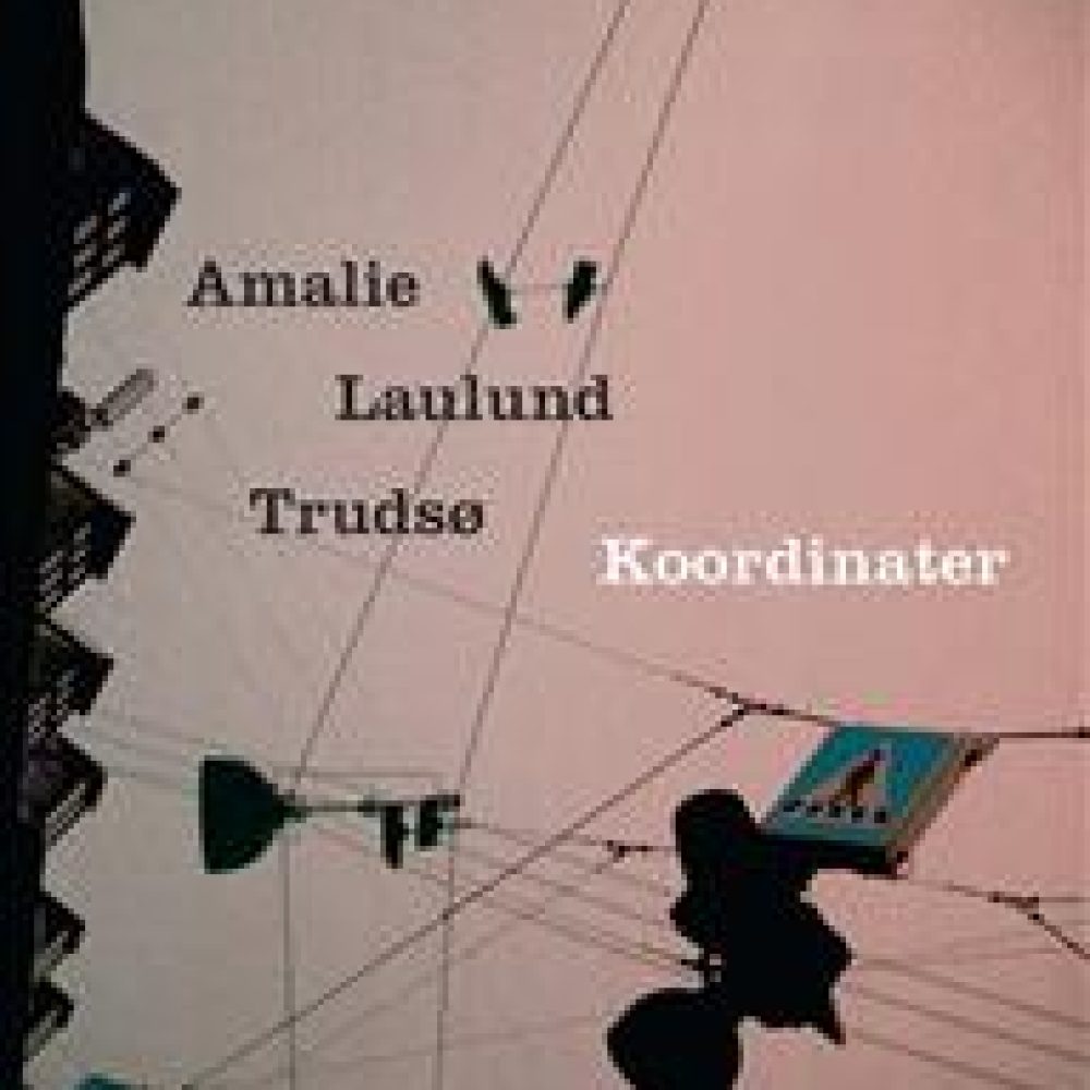 Koordinater