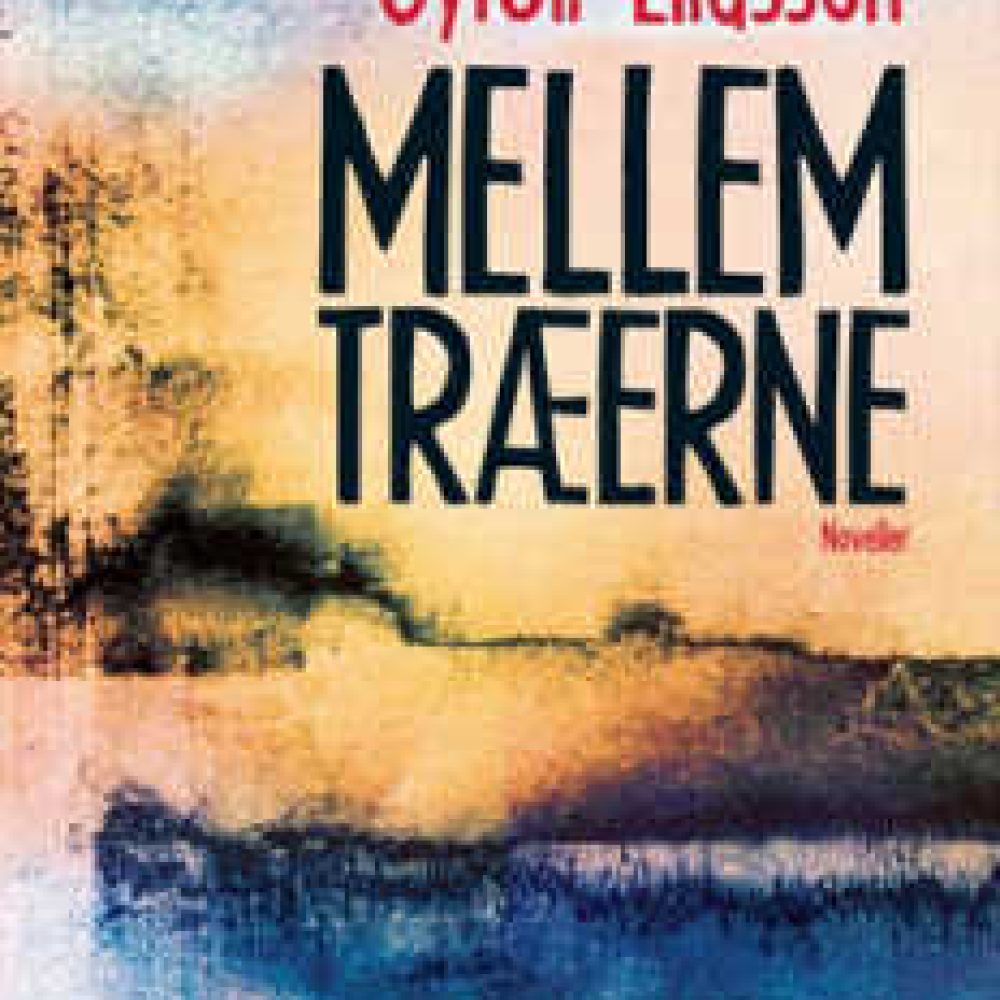 NB_23-08-11_Mellem__294681d