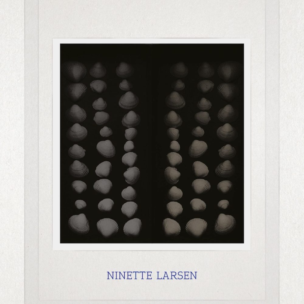 Ninette-Larsen-Hybrid