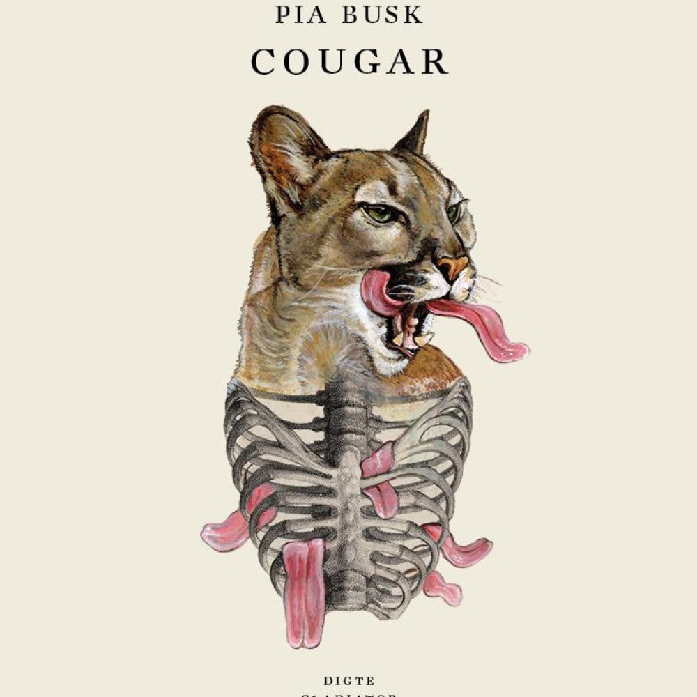 Pia_Busk_Cougar_1024x1024