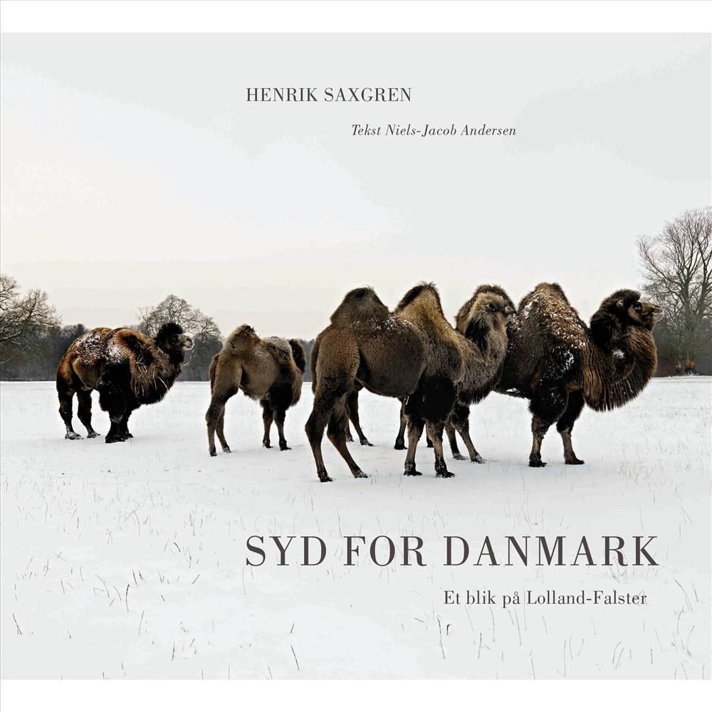Syd for Danmark