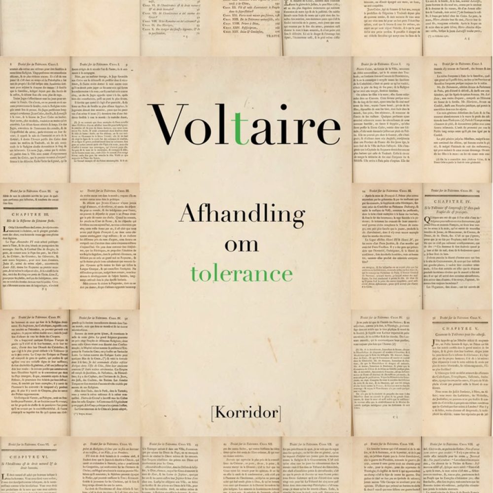 Voltaire_web1.1
