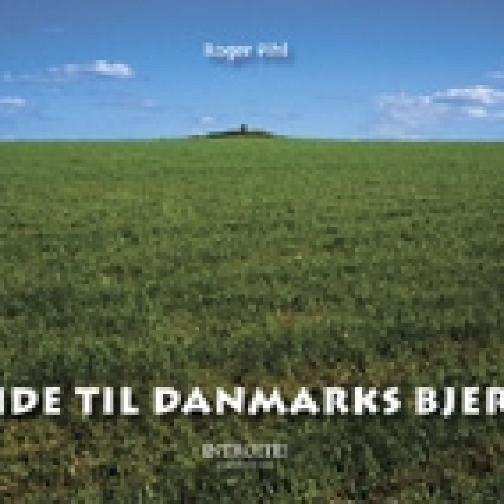 danmarks bjerge