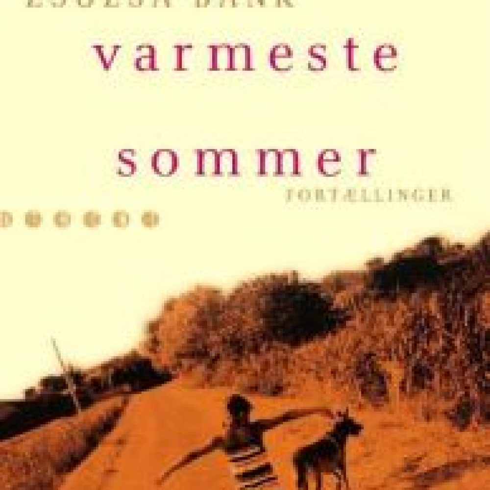 denvarmestesommer