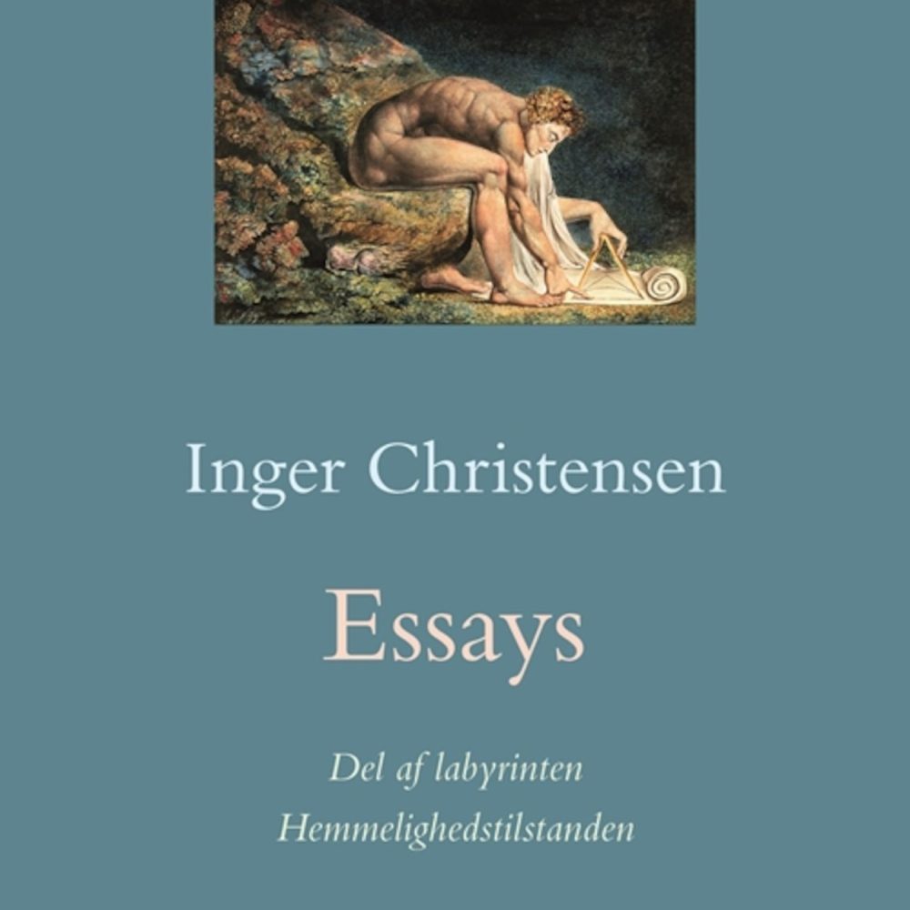 essays-3591607
