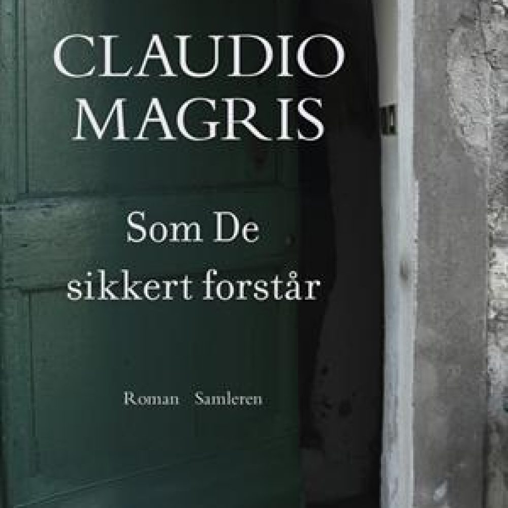 forstår