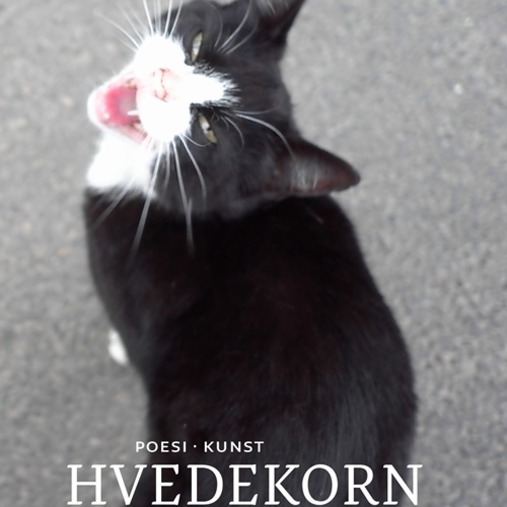 hvedekorn-4_224818