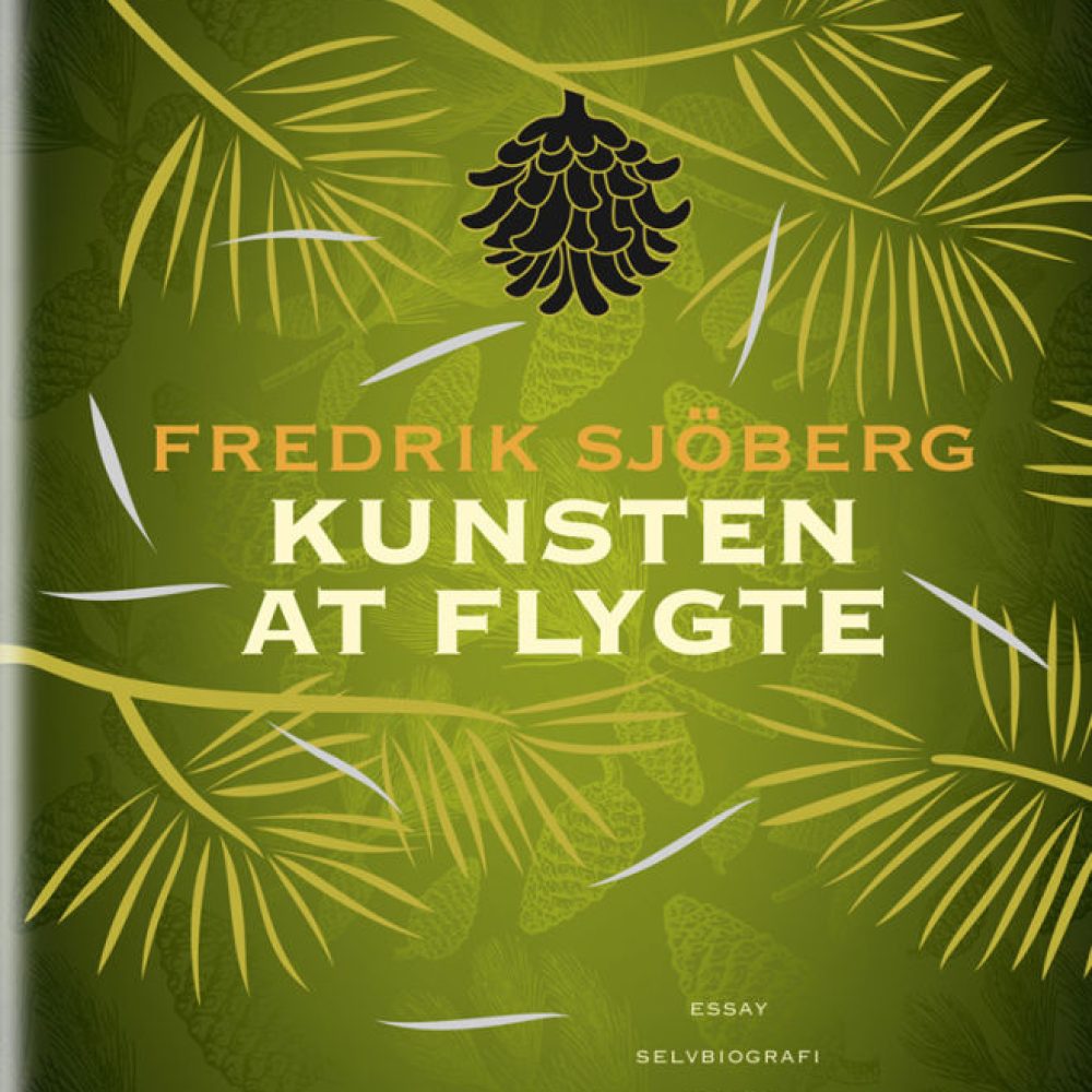 kustenatflygte