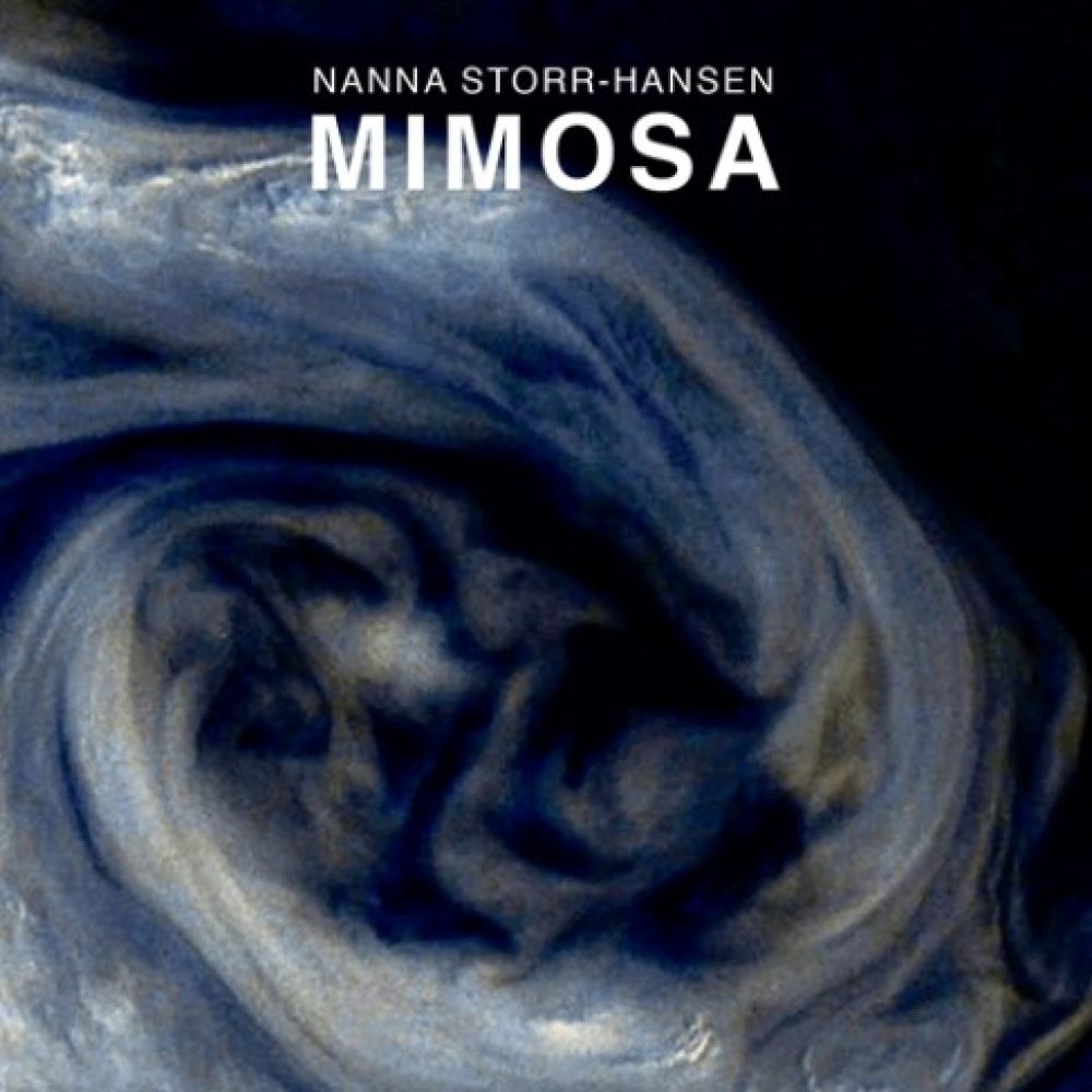 mimosa