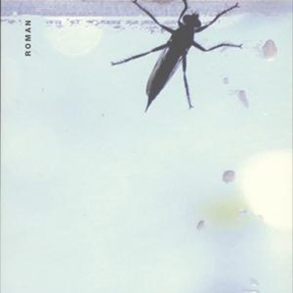minmorfarsstemme