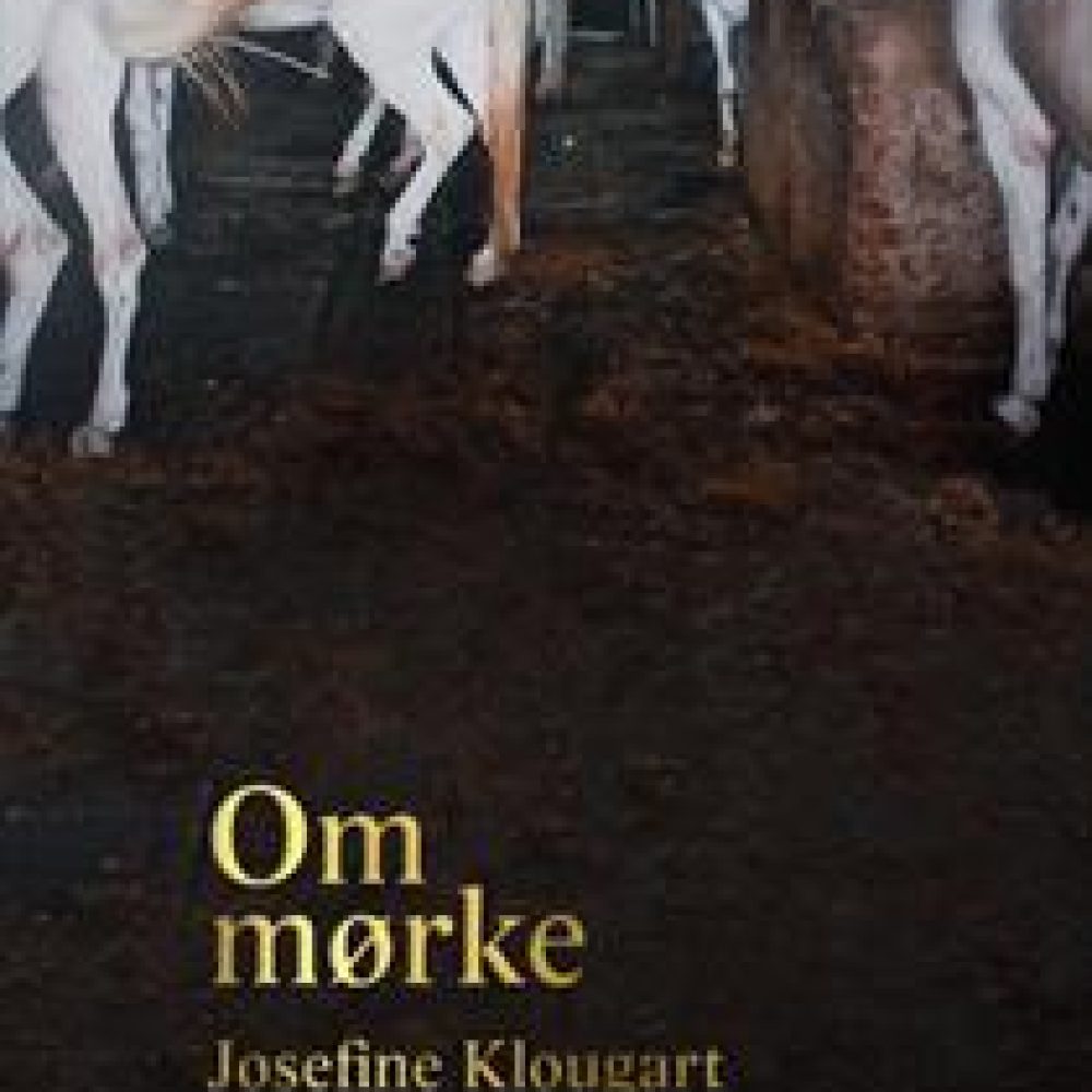 1 mørke