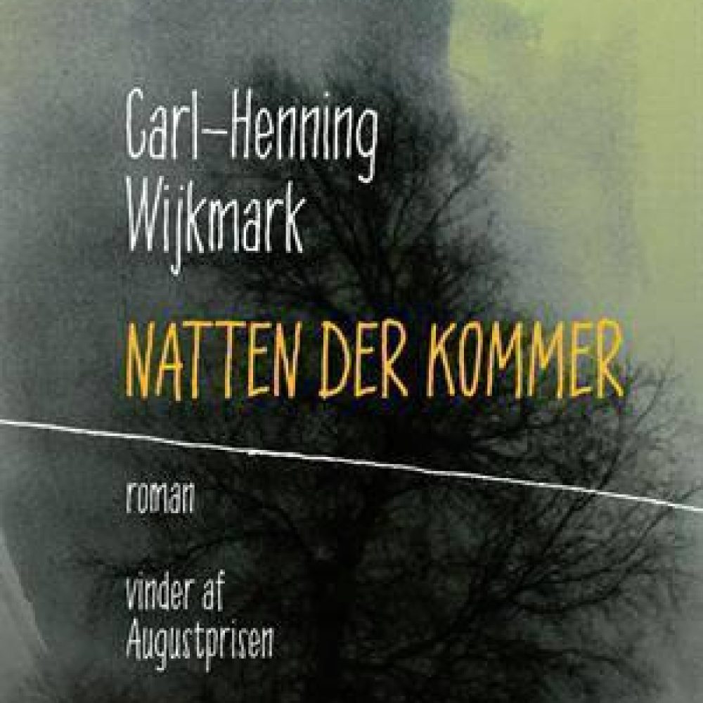 1 natten-der-kommer-af-carl-henning-wijkmark