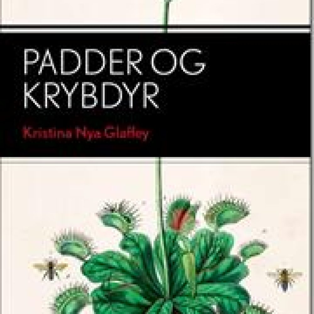 padderogkrybdyr