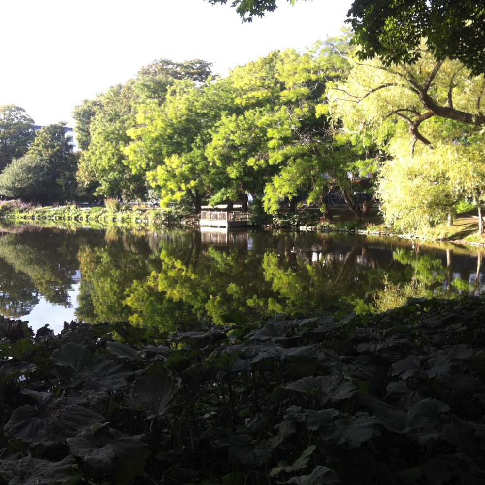oerstedsparken-1