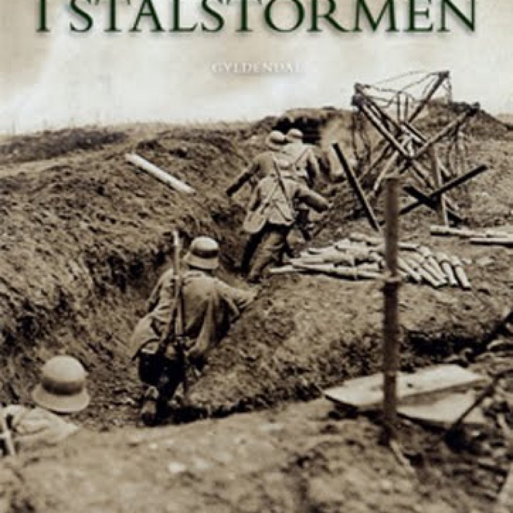 Ernst Jünger - I stålstormen