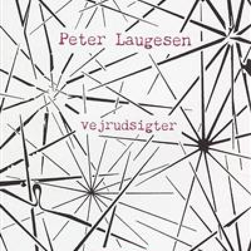 vejrudsigter